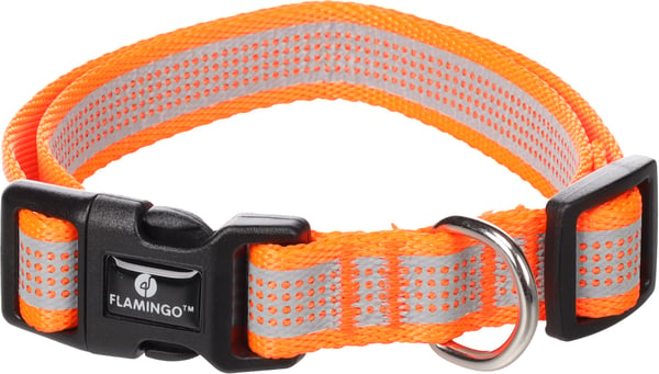 Halsband Fierro Fluo Oranje