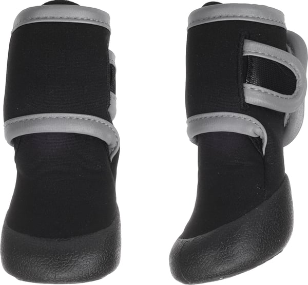 Bota para perro
