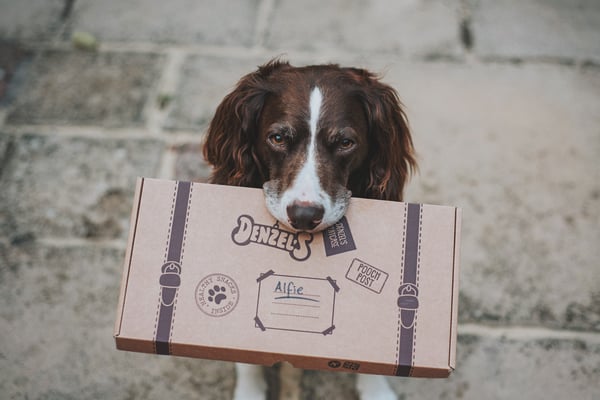 Denzel's soft-baked dog chews