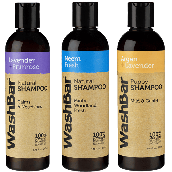Take Fresh shampoo