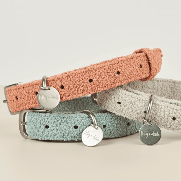 Lilly + Dash Boucle Dog Collar