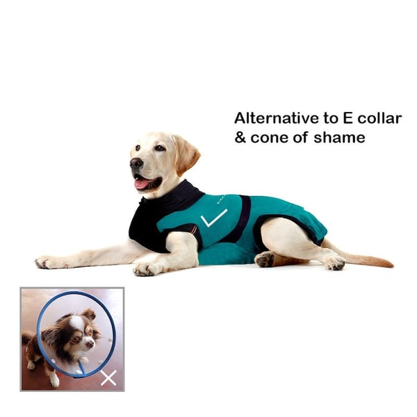 MAXX Dog Medical Pet Shirt | Peacock Blue Grey
