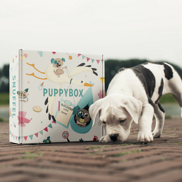 Puppybox - Only for puppies