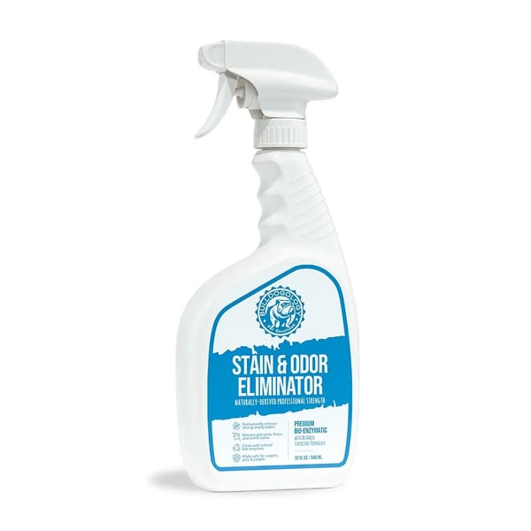 Say Goodbye to Pet Stains and Odors