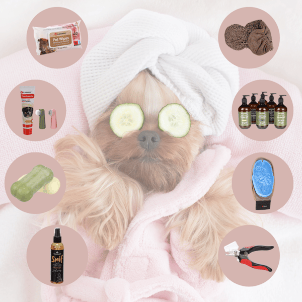 Pamper your best friend with the Flamingo Spa Package! 🧼💦
