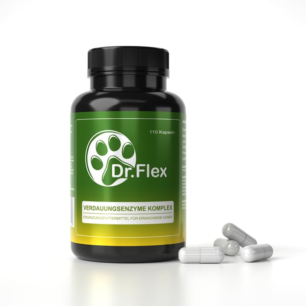 Dr. Flex Paws & Tummy Wellness: Boost Your Dog's Digestion Runway! 🐾