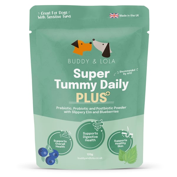 🐶 Introducing: Next Generation Gut Health with Buddy & Lola: Launching Super Tummy Daily PLUS!