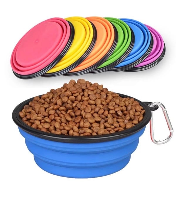 Travel in Style with Paperi Store's Collapsible Pet Bowl 🐾 - Campaign for Adventure-Loving Dogfluencers