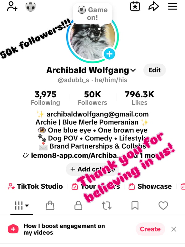 Instagram Story Sequence