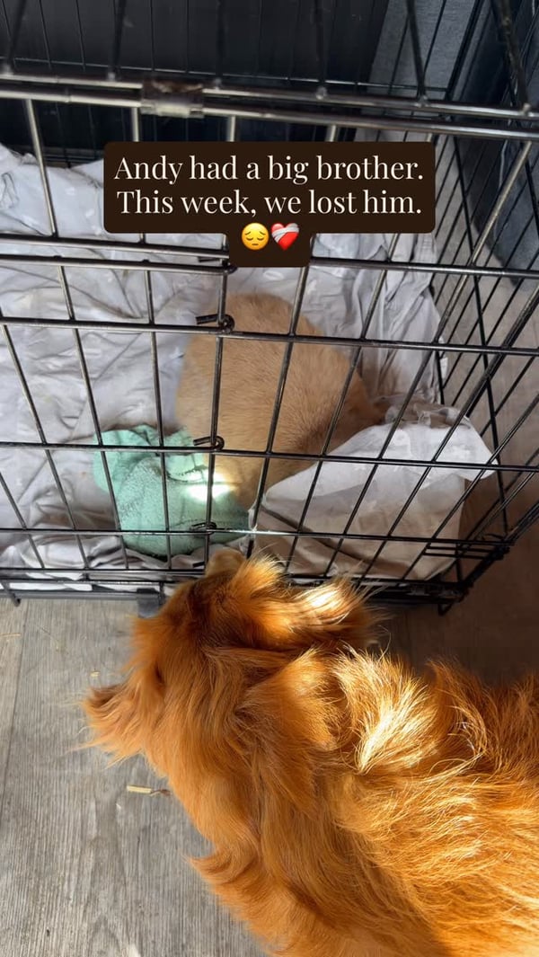 Product-in-Use Photography — Andy the Toller