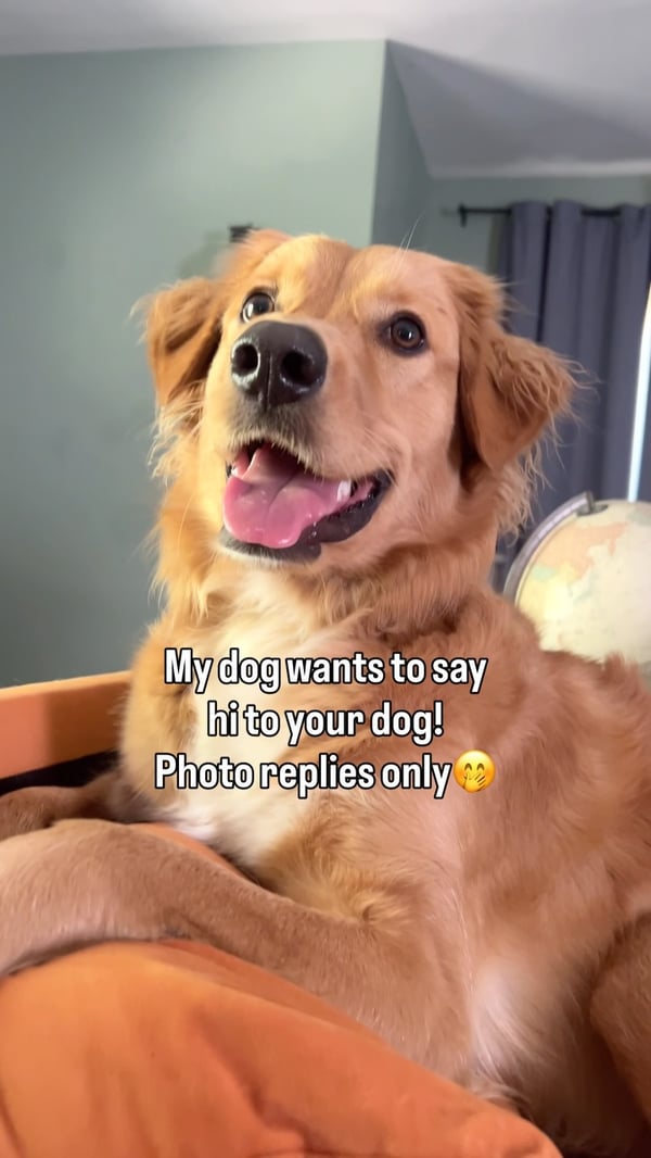Instagram Photo Post