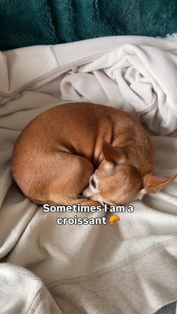 Instagram Photo Post