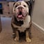 Butch