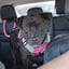 Roxie