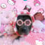Cookie