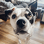 Axle