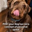 Oliver