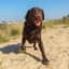 Mieke