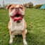 Cloe