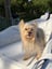 Finnegan