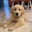 Jeremy
