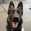 georgethegsd_sa