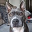 Amy