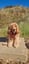 Cooper