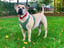 Zoë