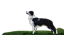 bryan