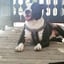 Amy