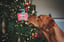 Denzel's Christmas Gifts image 4
