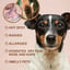 Kelebs Skin Scrub Dog Shampoo For Short Hair image 2