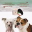 Kelebs Skin Scrub Dog Shampoo For Short Hair image 3