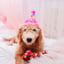 H&K Party Hat Party Time Pink Small image 2