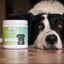 Digestive Aid image 1