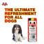 Mixed Dog Beer Can 25cl image 1