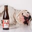 Mixed Dog Beer 4 Pack Bottles image 1