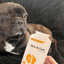 Skin & Coat - Support For Dogs image 2