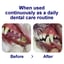 All-Natural Dog Breath Freshener & Oral Care Supplement Strip image 4