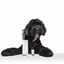 Odor Neutralizer - Earth image 1