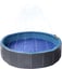 Fountain Doggy Pool image 2