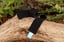 Settle Strap Tiny image 2