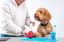 No Fuss Fill® Enrichment Toy Filler image 3