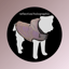 Coat Luza Grey image 2