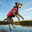 Surf n Turf Dog Life Jacket image 3