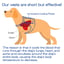 Horay Cooling Comfort Vest for Dogs M image 7