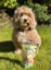 Easter Bix image 1