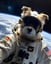 Astronaut Dog Portraits image 2