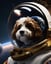 Astronaut Dog Portraits image 8